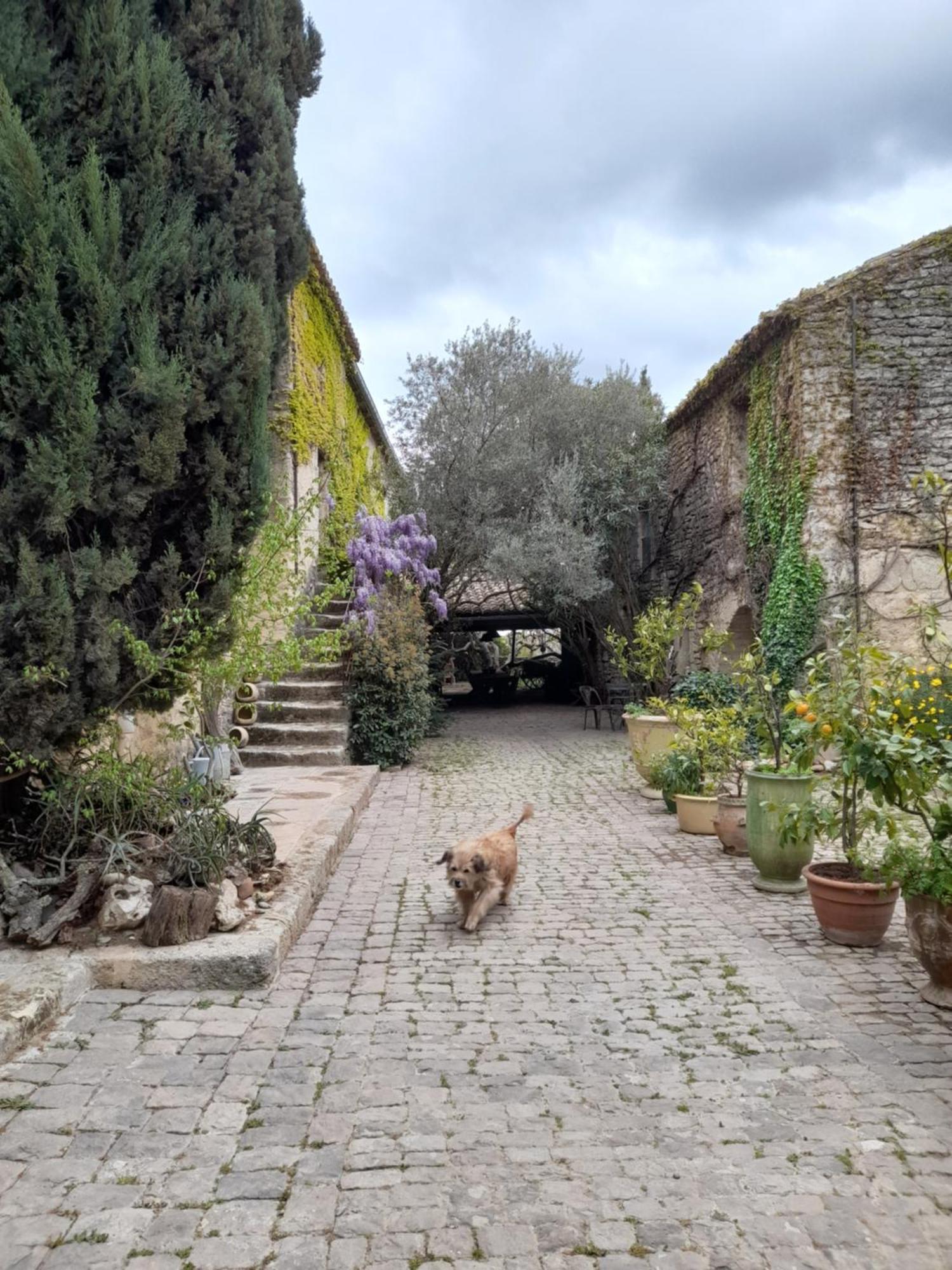 Le Mas Du Lac Uzès Exterior foto